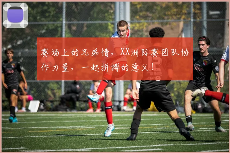 赛场上的兄弟情，XX洲际赛团队协作力量，一起拼搏的意义！